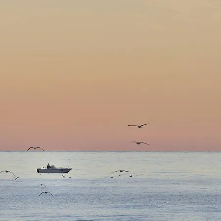 Appartamento Abouterracina Bemi Al Mare, Di Fronte La *